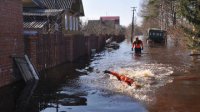 Более 300 домов не подлежат восстановлению после наводнения в Краснодарском крае