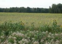 Президент РФ поручил Госдуме принять закон, согласно которому будут изыматься неиспользуемые сельхозземли