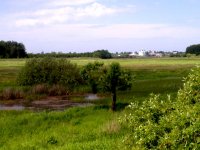Подобрать земельный участок в Ивановской области можно будет через "земельный портал"