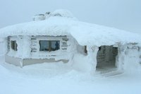 В Мурманской области появится снежная деревня с дворцом бракосочетания