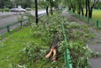 Бушевавший в Москве ураган повредил кровли 16 зданий и повалил 148 деревьев