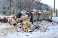 С территории "новой Москвы" будет вывезено 1,5 тыс тонн мусора