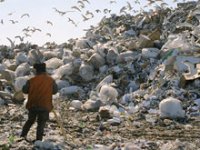 В течение нескольких лет на территории «новой» Москвы будут ликвидированы мусорные полигоны