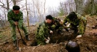 Участки под строительство в Московской области могут начать проверять на наличие останков и боеприпасов времен ВОВ