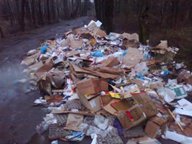 В Московской области с начала года ликвидировали более 8,6 тыс кубометров мусора