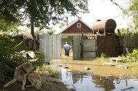 В Хабаровском крае подобрали стройплощадки под строительство домов для пострадавших от паводка