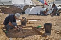 Во время раскопок на территории строительства олимпийских объектов нашли около 900 артефактов