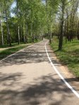 В центре Москвы планируют построить сеть велодорожек за 11 млн руб